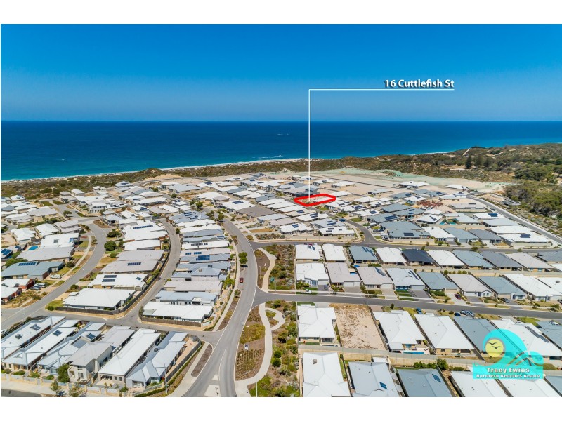 16 Cuttlefish Street, Yanchep WA 6035
