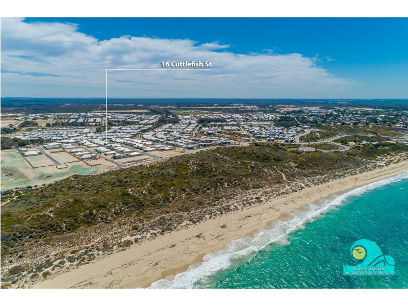 16 Cuttlefish Street, Yanchep WA 6035