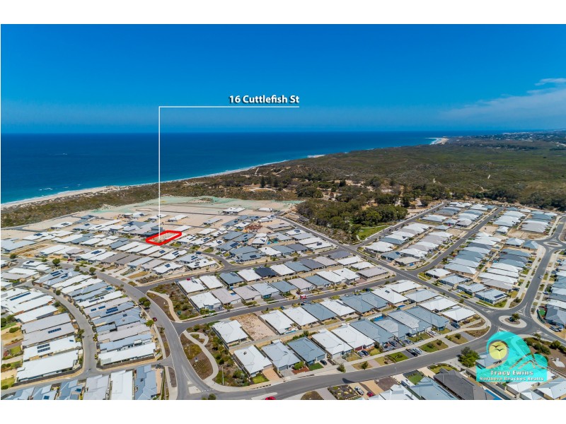 16 Cuttlefish Street, Yanchep WA 6035