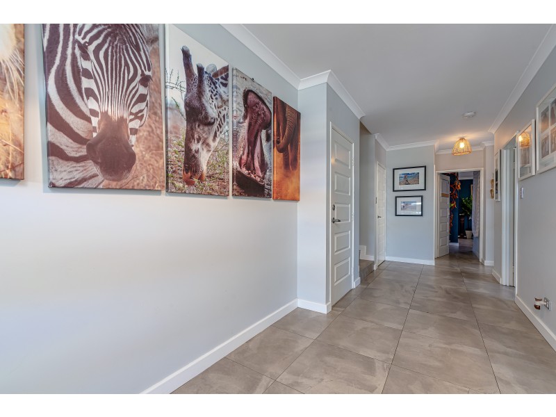 8 Harlequin Way, Yanchep WA 6035