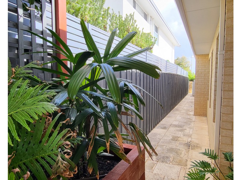 20 Sandbar Street, Yanchep WA 6035