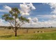 22R Oakdene Road, Dubbo NSW 2830