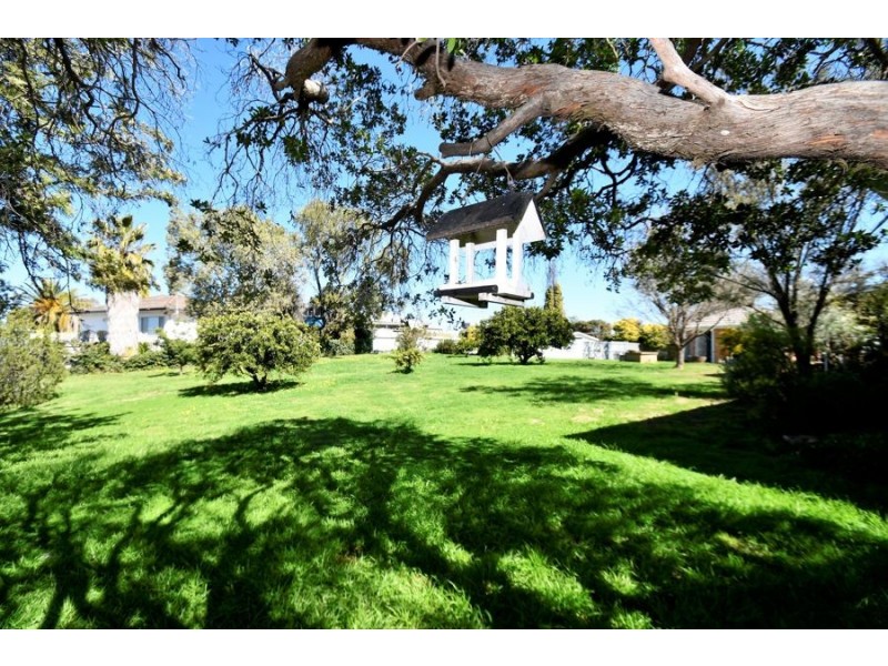 33 Jean Street, Wellington NSW 2820