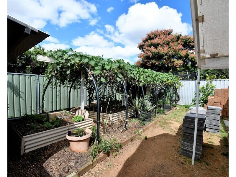 64 Palmer Street, Dubbo NSW 2830