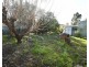 5 Soldiers Lane, Wellington NSW 2820