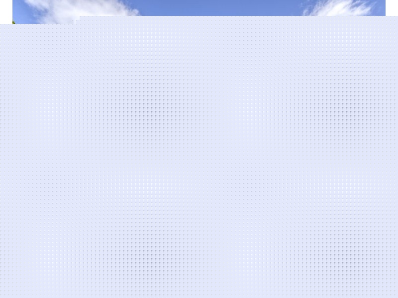 405 Ponto Falls Road Maryvale via,, Wellington NSW 2820