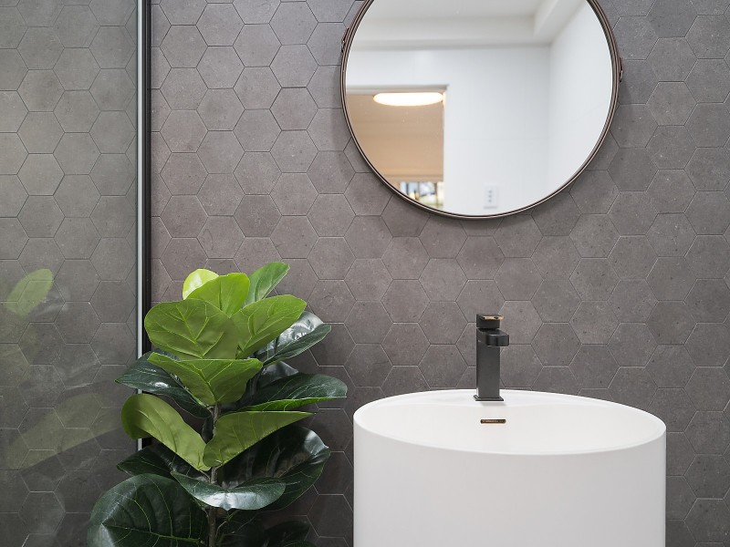 85 Carwar Avenue, Carss Park NSW 2221