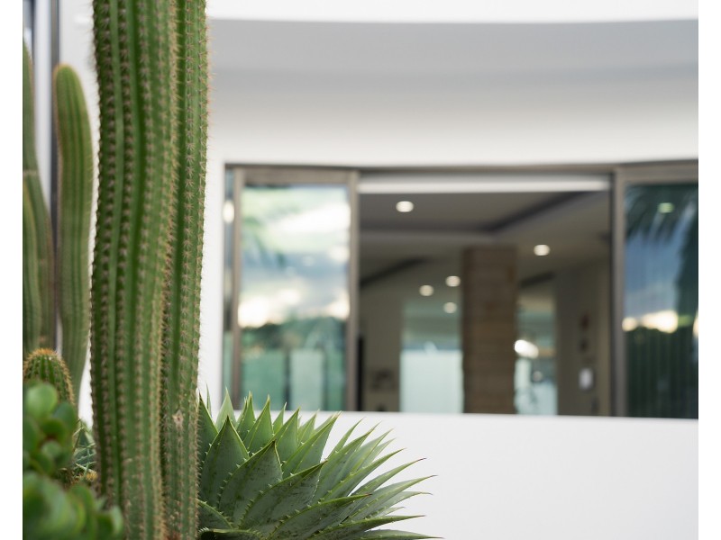 110 Clareville Avenue, Sandringham NSW 2219