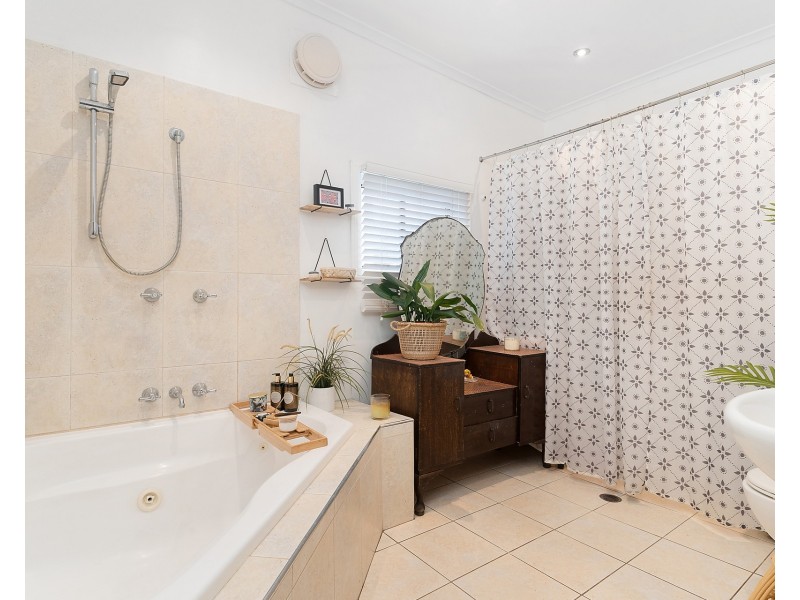 23 Jarrett Street, Clemton Park NSW 2206