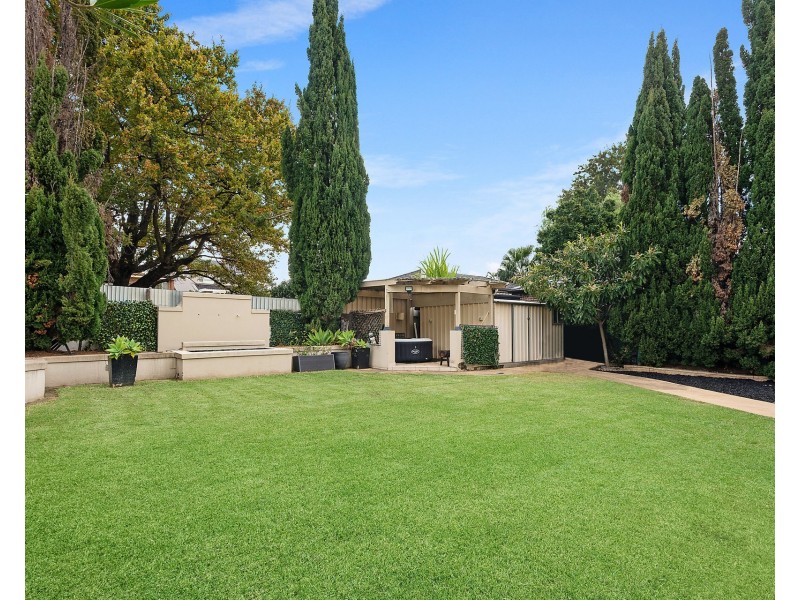 43 Unwin Street, Bexley NSW 2207