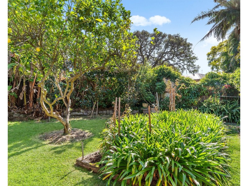 52 Harslett Cres, Beverley Park NSW 2217