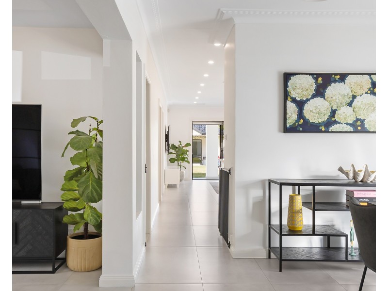 49 Solander Street, Monterey NSW 2217