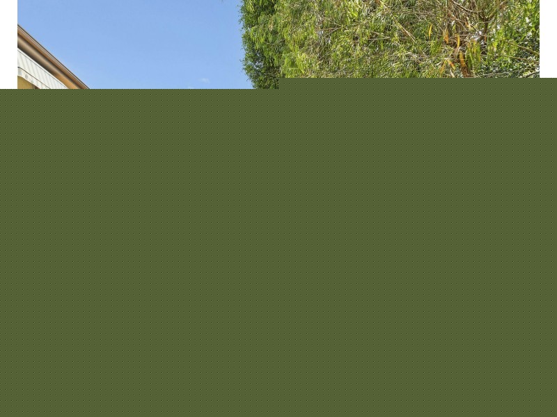 11 Blucher Street, Sans Souci NSW 2219