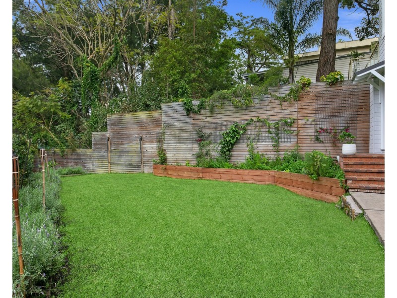 8 Ascot Street, Bexley NSW 2207