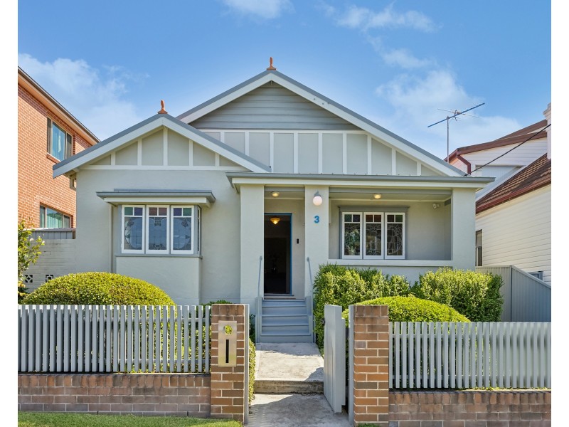 3 Botany Street, Carlton NSW 2218