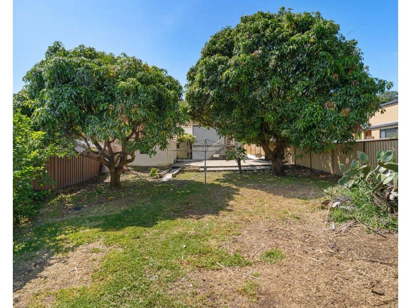 60 Dowling Street, Bardwell Valley NSW 2207