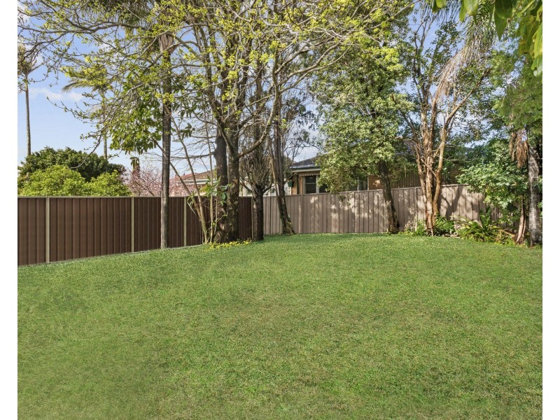 105 Caledonian Street, Bexley NSW 2207