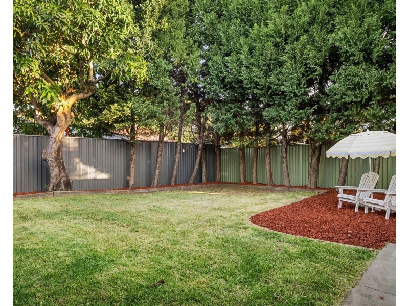 17 Massey Street, Carlton NSW 2218
