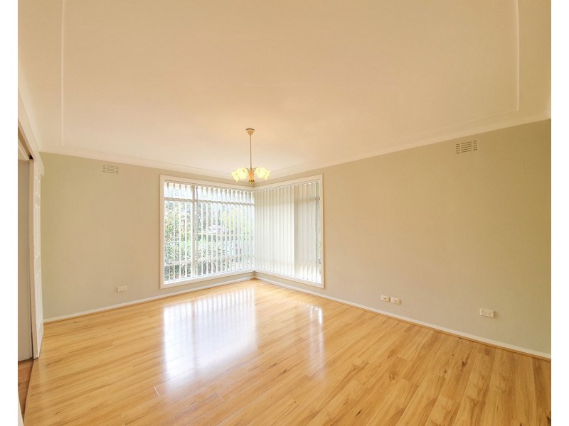 20 Raymond Avenue, Campbelltown NSW 2560