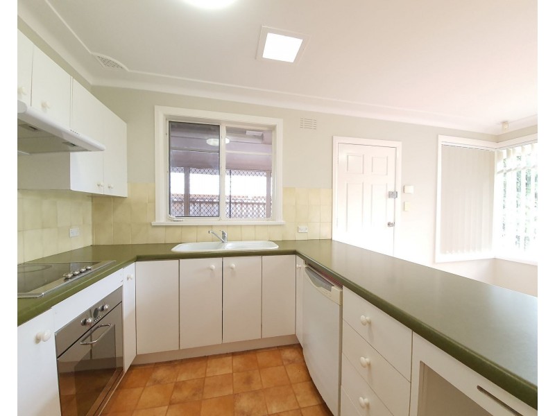 20 Raymond Avenue, Campbelltown NSW 2560
