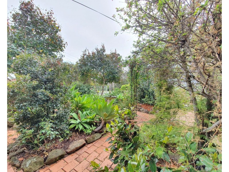 20 Raymond Avenue, Campbelltown NSW 2560