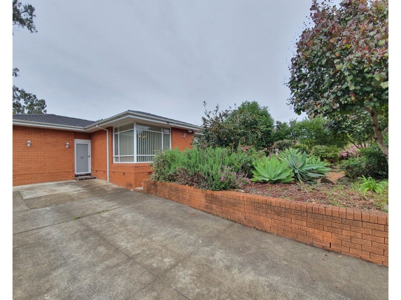 20 Raymond Avenue, Campbelltown NSW 2560