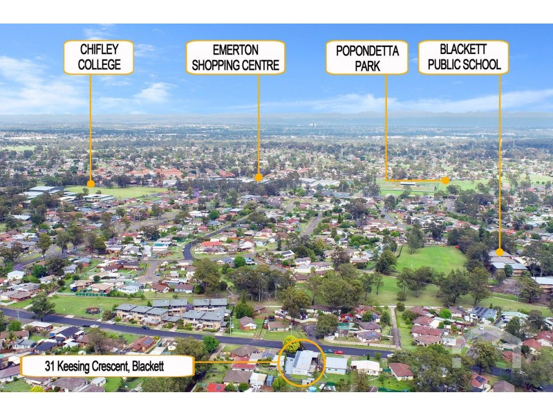 31 Keesing Crescent, Blackett NSW 2770