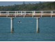 2 Murphy Street, Point Vernon QLD 4655