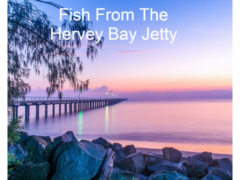 1/34 Cooks Road, Urraween QLD 4655