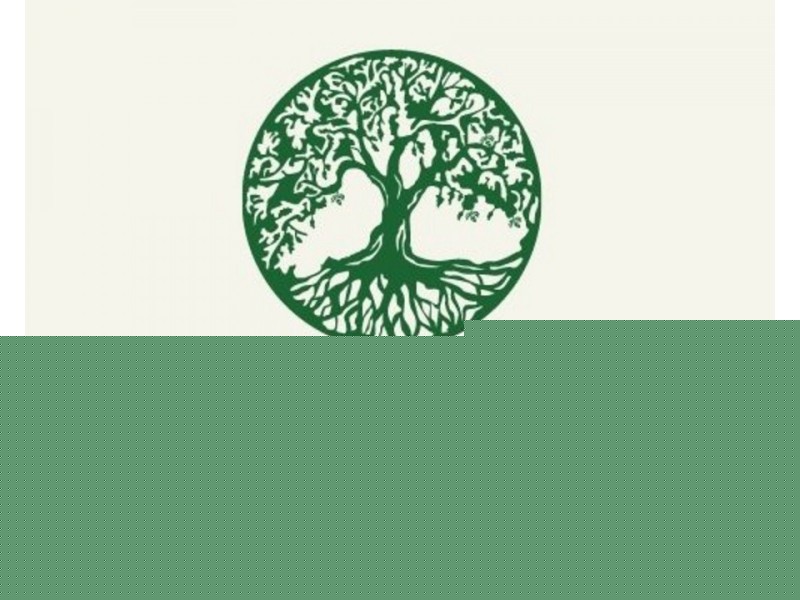 50 Macadamia Drive, Tinana QLD 4650