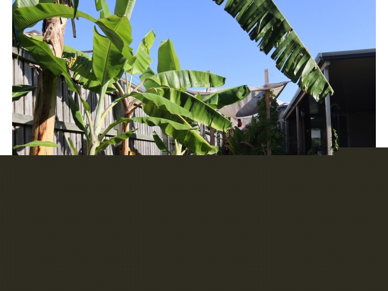 12 Captain Cook Street, Urraween QLD 4655