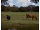 Urraween QLD 4655