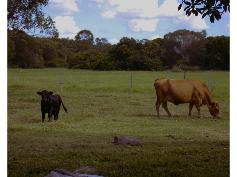 Urraween QLD 4655