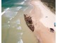 Urraween QLD 4655
