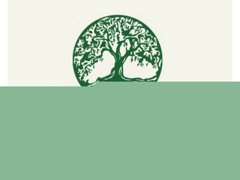 50 Jindalee Way, Tinana QLD 4650