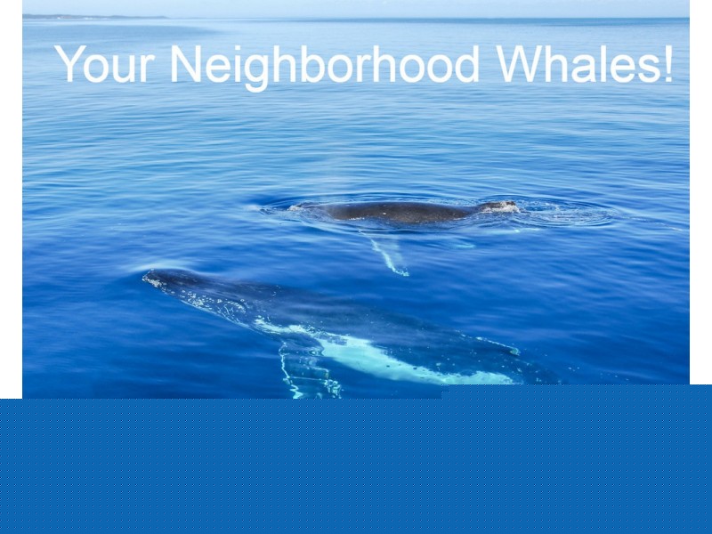 32 Road 2, Urraween QLD 4655