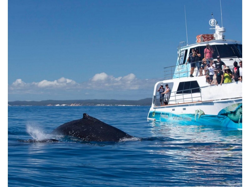 31/34 Cooks Road, Urraween QLD 4655