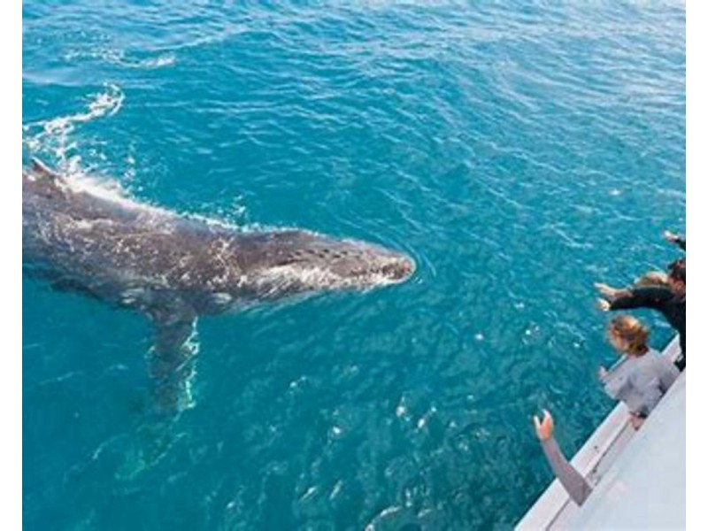 29 O’Connell Parade, Urraween QLD 4655