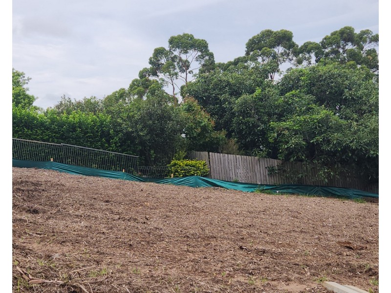 TBA Willis Road, Bli Bli QLD 4560