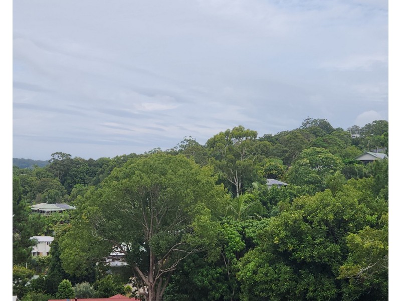 TBA Willis Road, Bli Bli QLD 4560