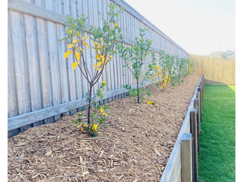 29 Abode Way, Kawungan QLD 4655