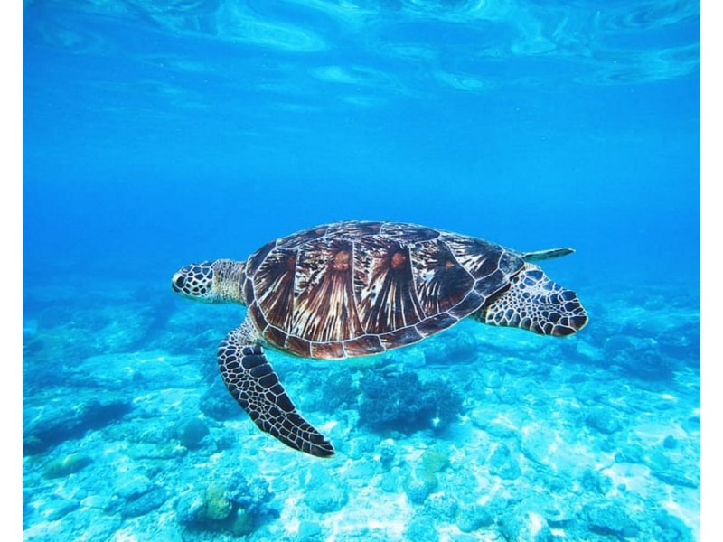 LOT 37 Humpback Circuit, Booral QLD 4655