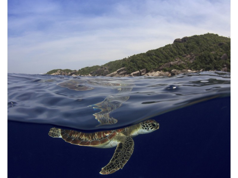 Lot 5 Humpback Circuit, Booral QLD 4655