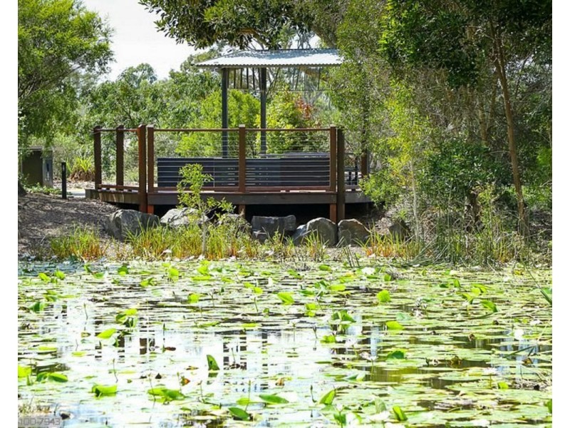 71 Bay Park Road, Wondunna QLD 4655