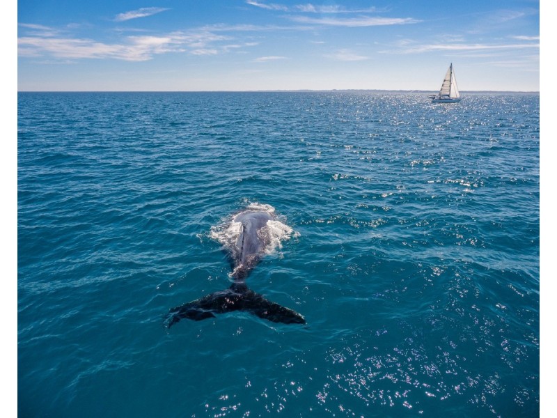 21 Cooks Road, Urraween QLD 4655