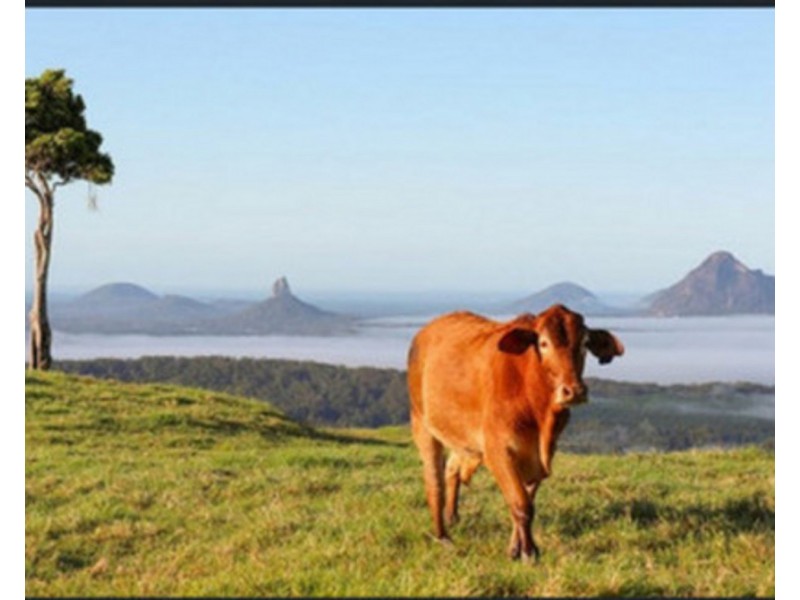 26 Bradbury Place, Maleny QLD 4552