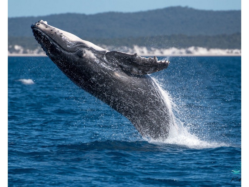 20/1 New Road, River Heads QLD 4655