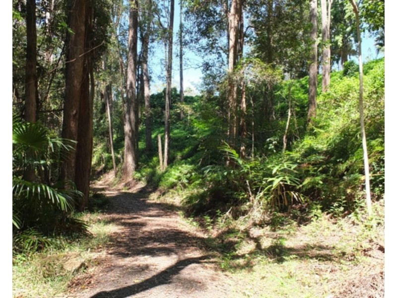 21 Corey Court, Palmwoods QLD 4555
