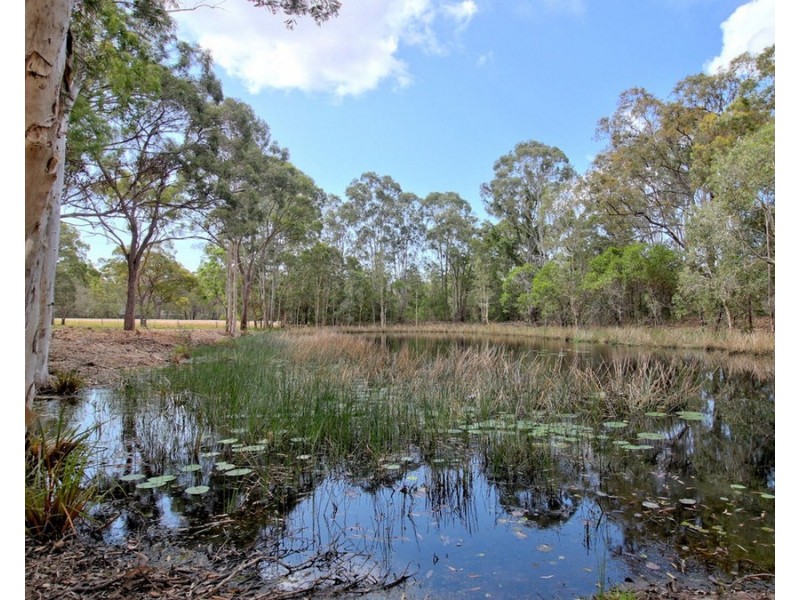 20 Condor Drive, Sunshine Acres QLD 4655