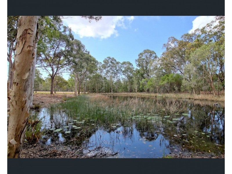 20 Condor Drive, Sunshine Acres QLD 4655